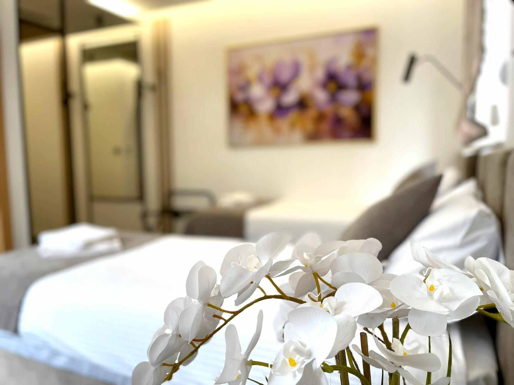 Hotel Npl Code Naselje Starosjedilaca Εξωτερικό φωτογραφία