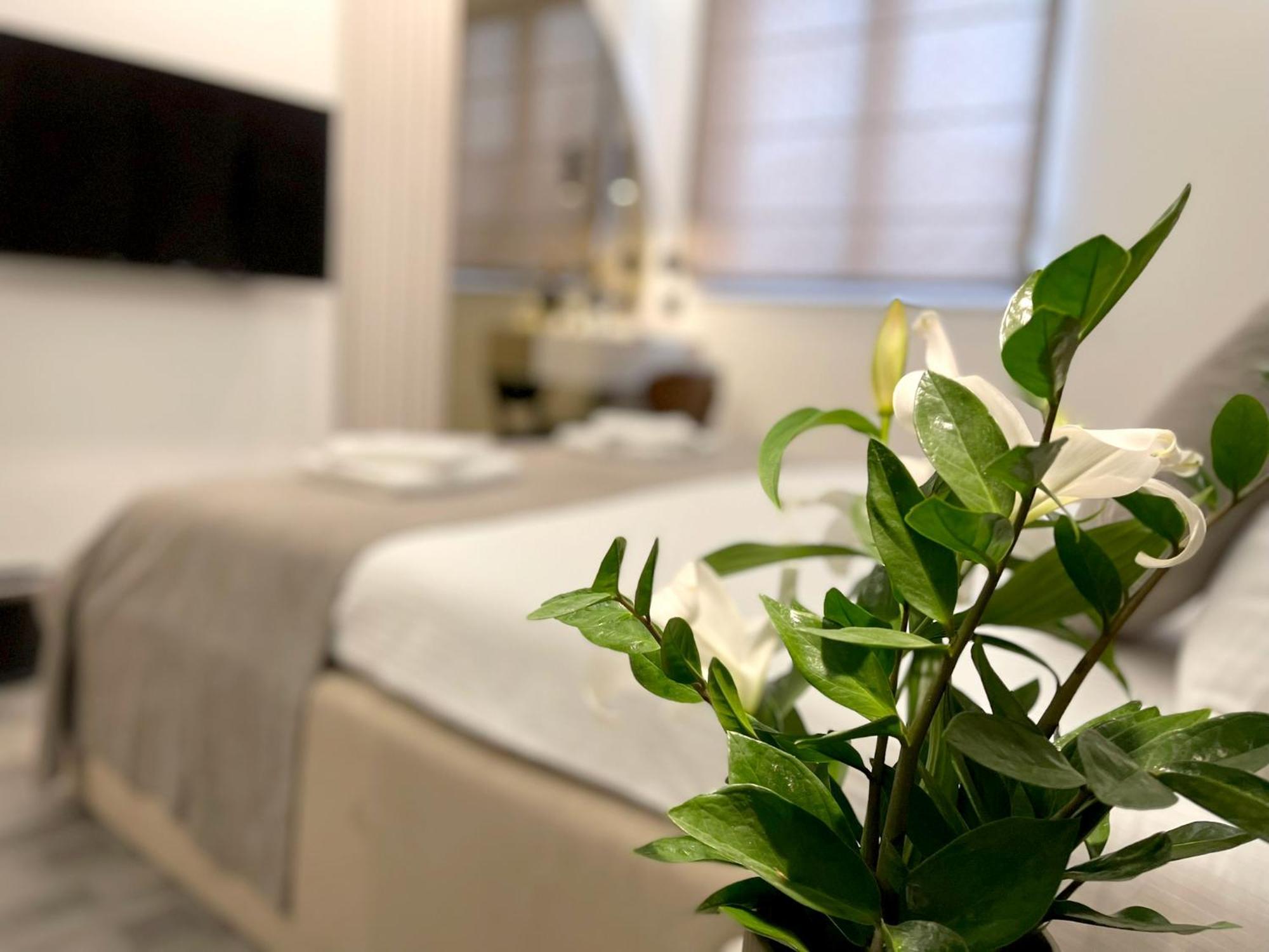 Hotel Npl Code Naselje Starosjedilaca Εξωτερικό φωτογραφία